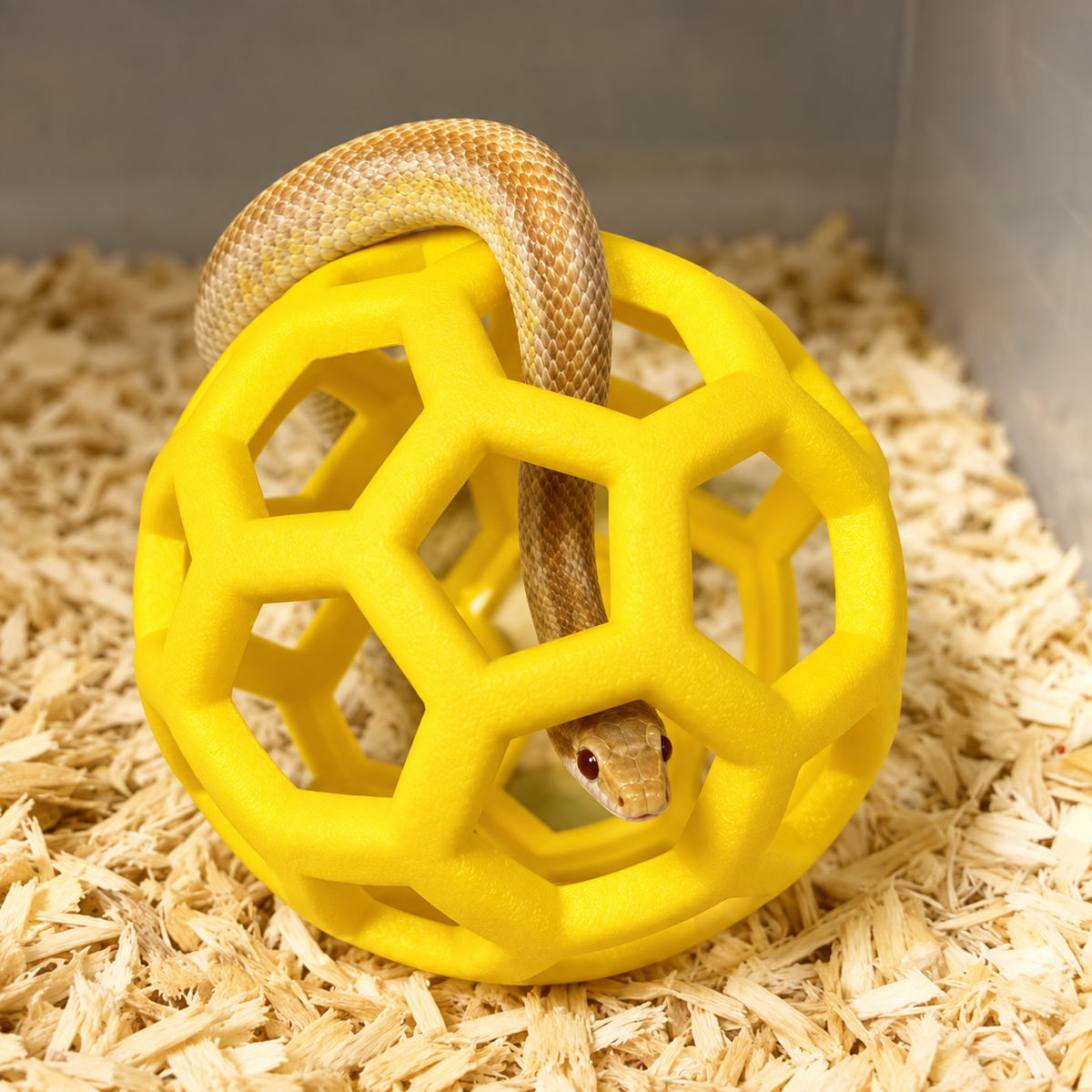Vexnaluro SerpentSphere Reptile Climbing & Enrichment Ball