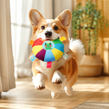 Vexnaluro PawJoy Rainbow Tug & Toss Dog Disc
